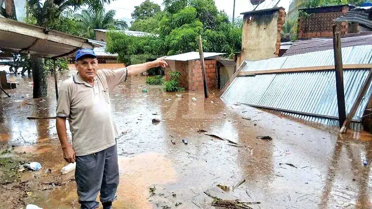 Imagen sin título