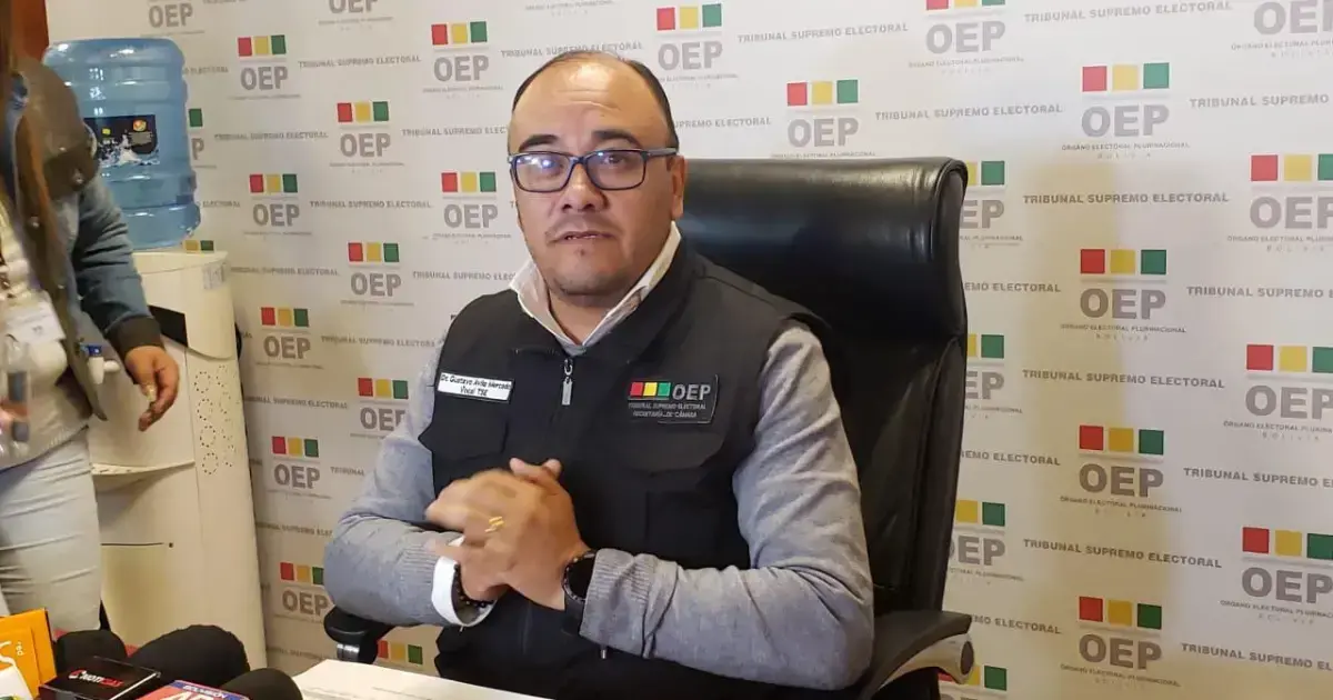 El presidente del TSE, Gustavo Ávila.