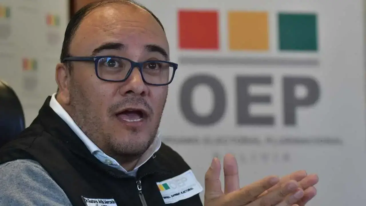 El presidente del Tribunal Supremo Electoral (TSE), Gustavo Ávila.