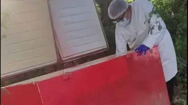 El freezer abandonado en la carretera a Paurito.