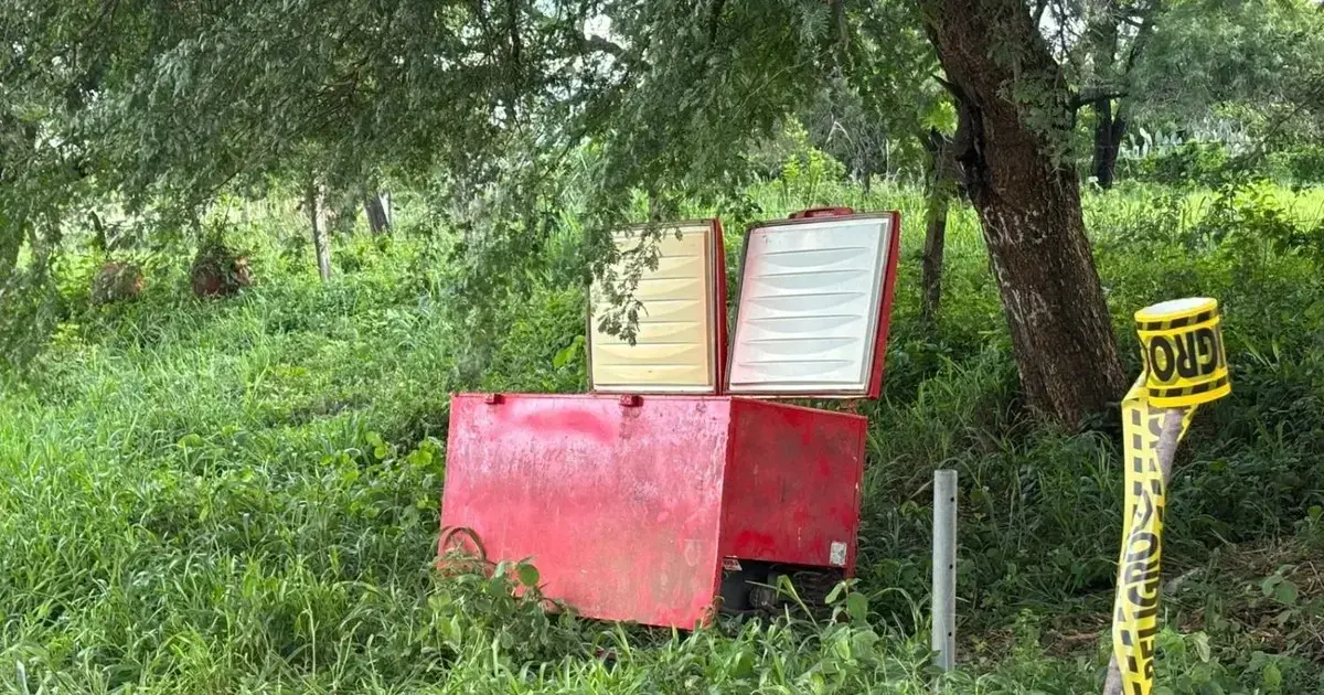 Imagen sin título