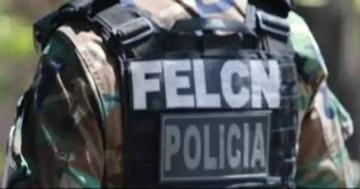 Imagen sin título