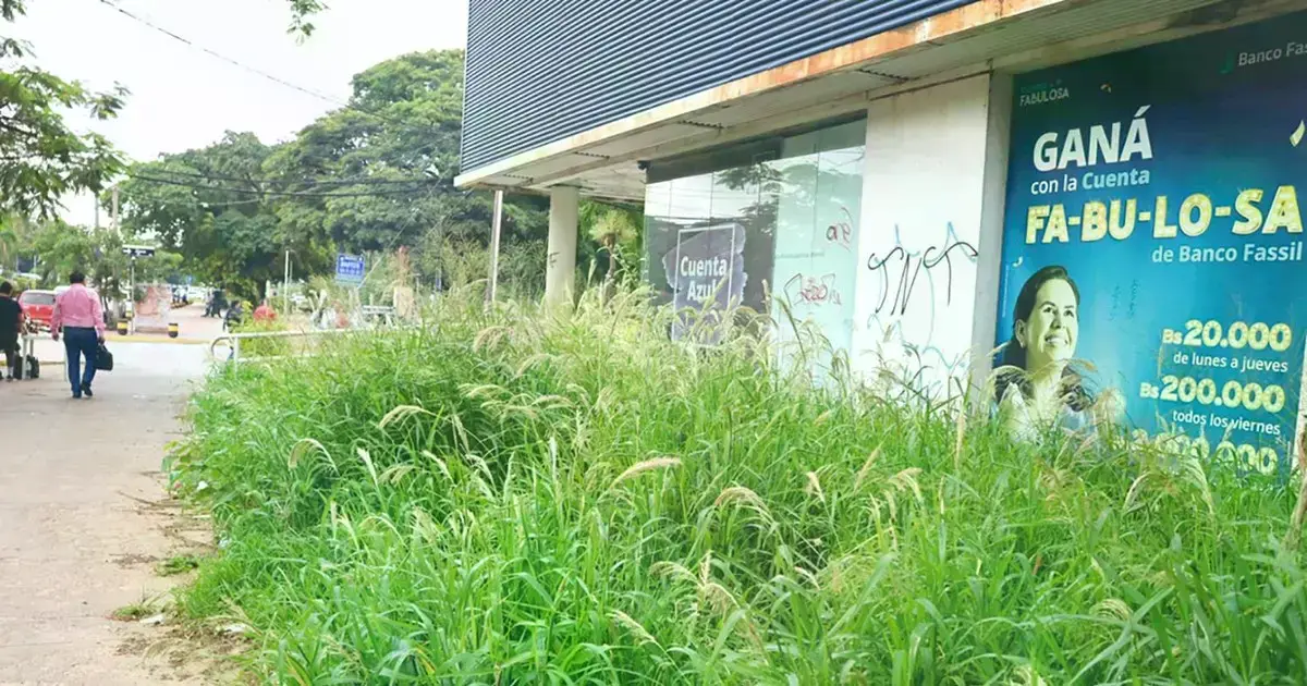 Edificio abandonado de Banco Fassil frente a la plaza del Estudiante, invadido por maleza.