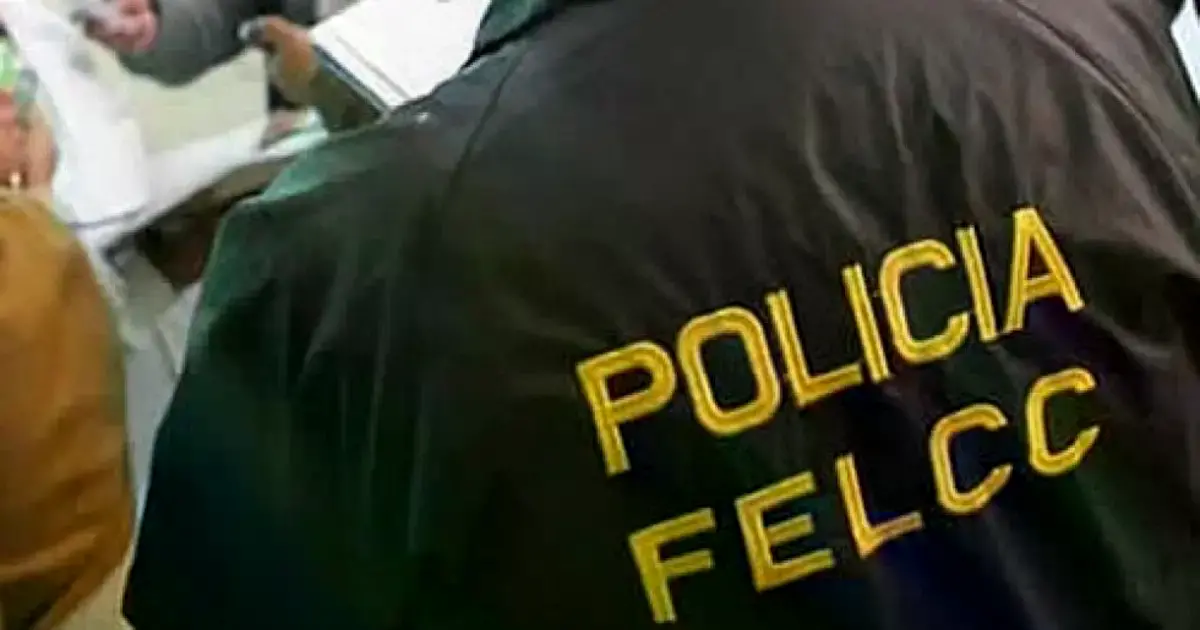 Imagen sin título
