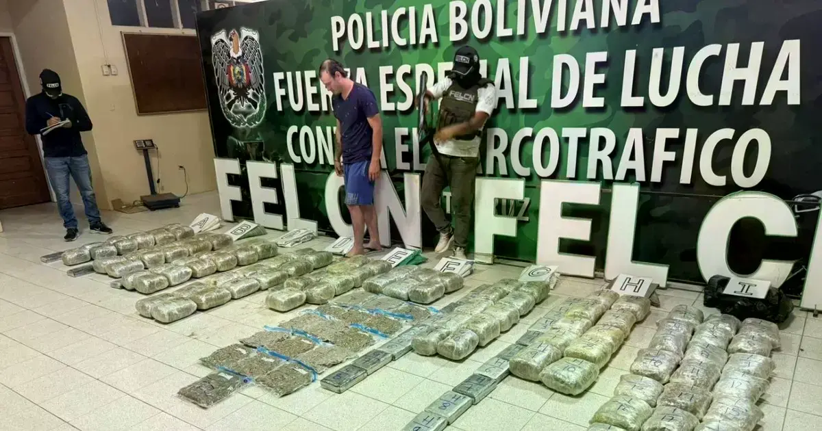 Imagen sin título