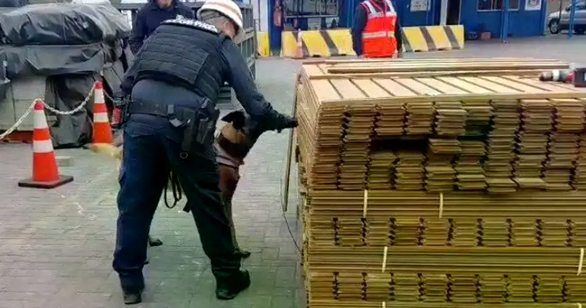 Imagen sin título