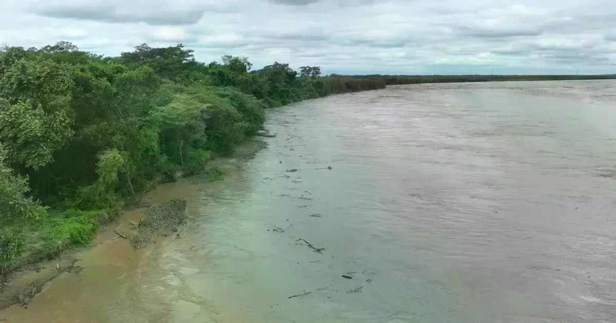 Imagen sin título