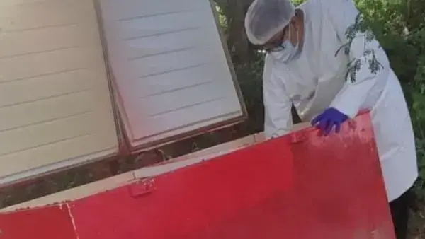 El cuerpo de la mujer estaba en un freezer.