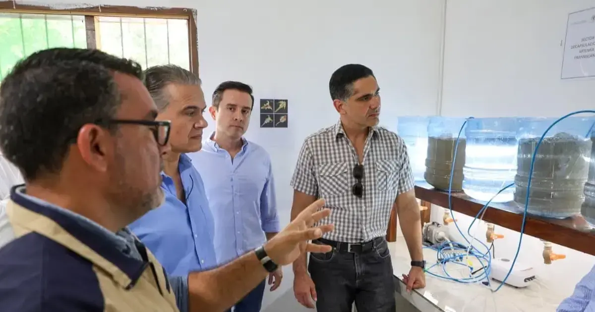 Imagen sin título