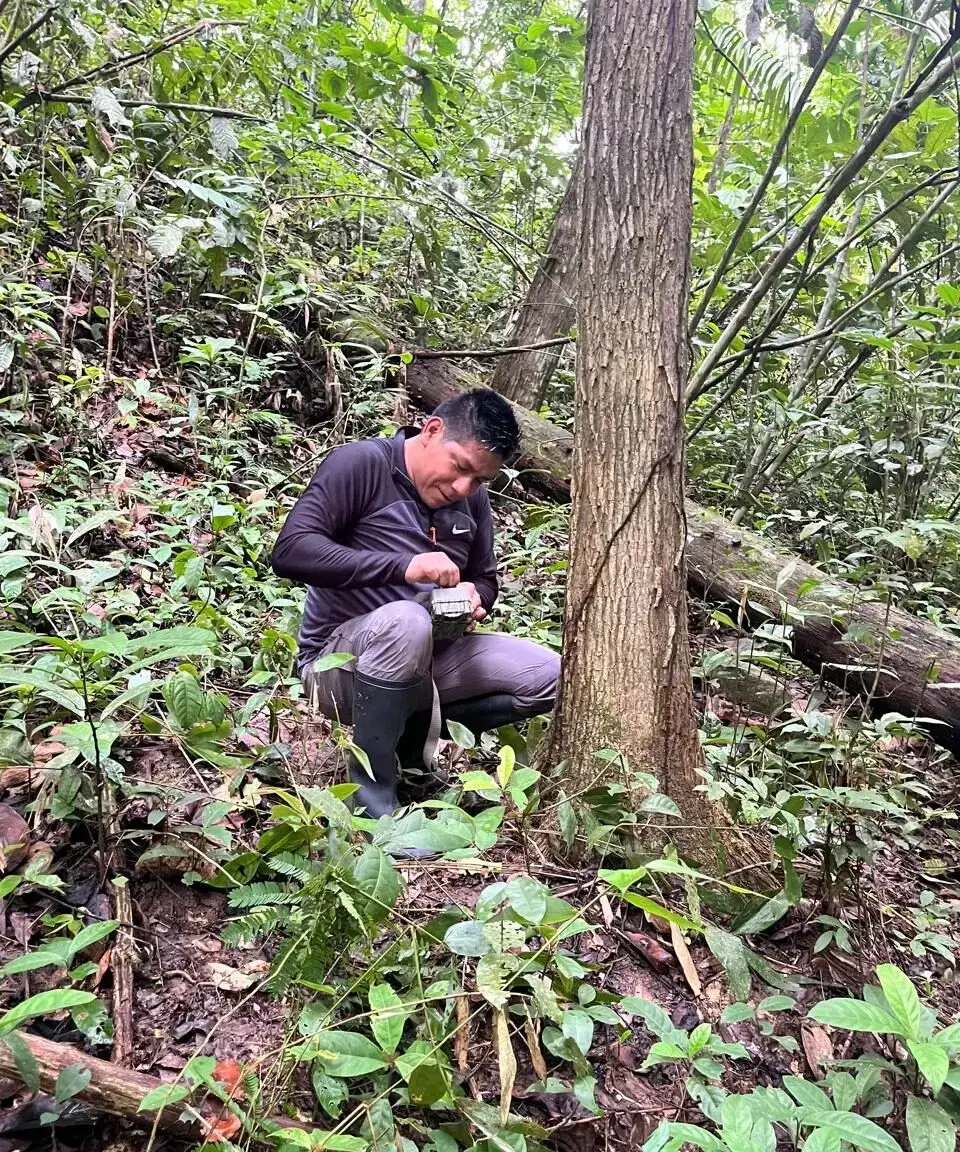 Richar Antonio Demetrio, primer científico asháninka en publicar en una revista de alto impacto.