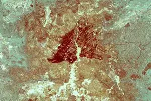Pintura rupestre prehistórica de dos cerdos verrugosos de Sulawesi, Cueva Leang Tedongnge, Sulawesi, Indonesia.