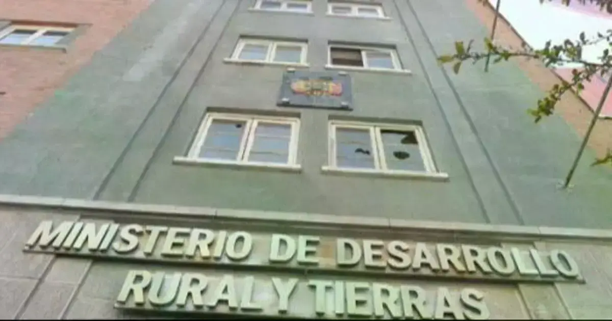 Imagen sin título