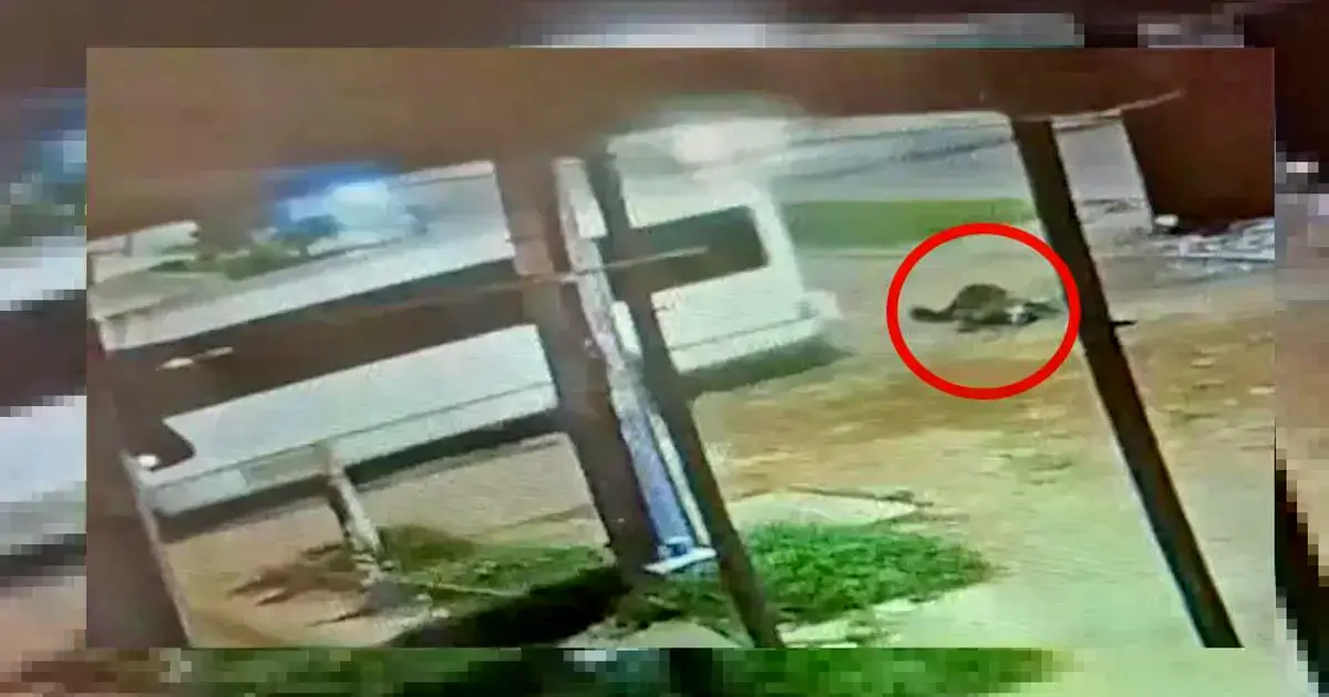 Captura de video donde se observa el momento del impacto.