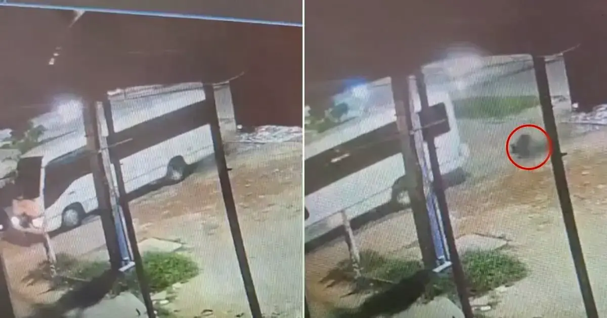 Imagen sin título