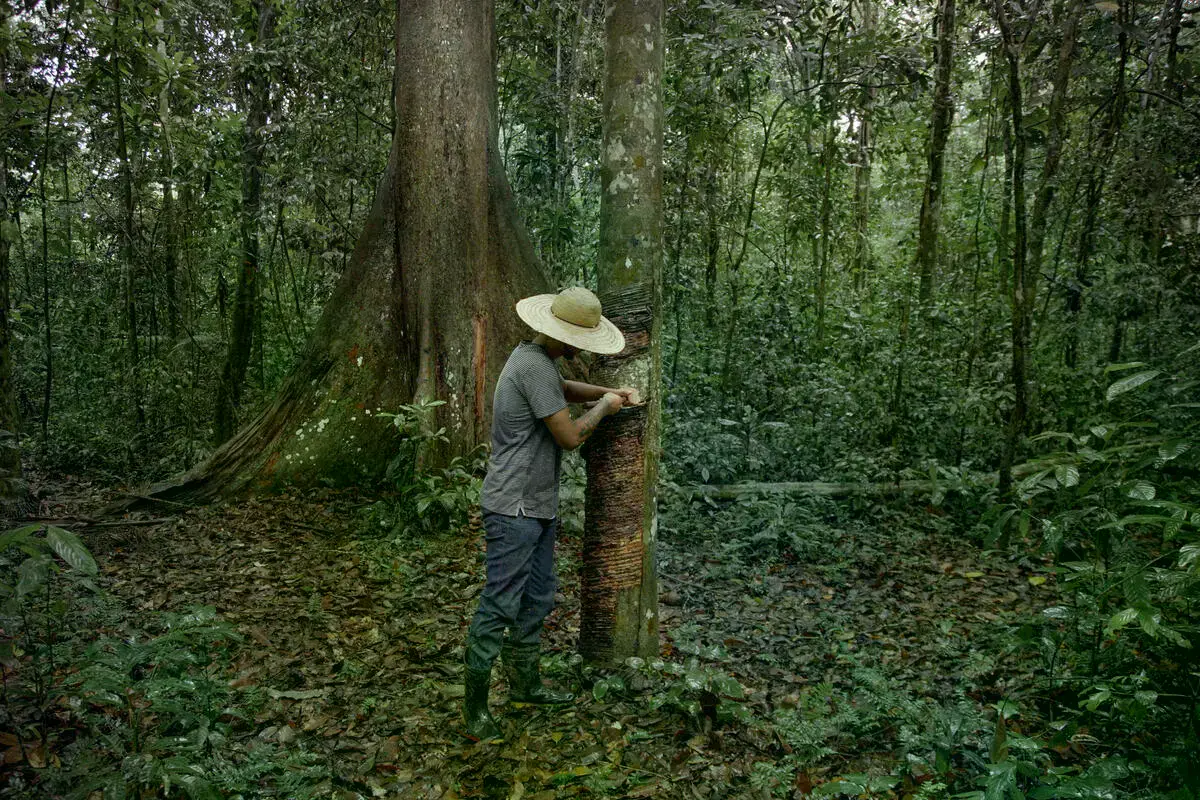 Rogério Barros, joven líder extractivo, en la reserva extractiva Chico Mendes.
