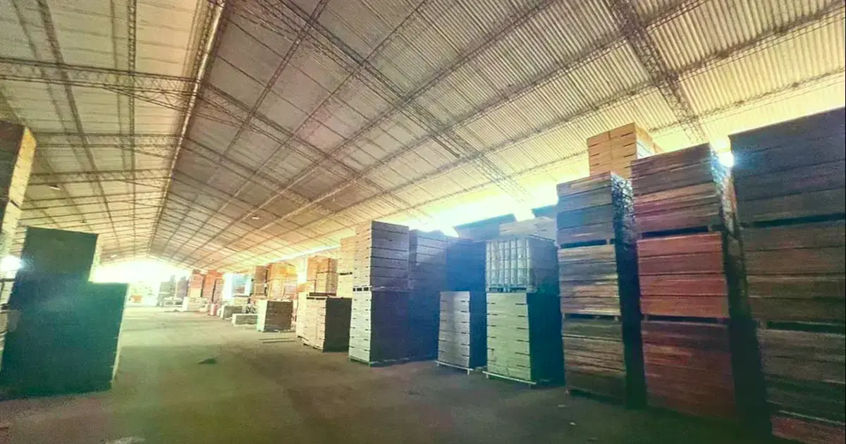 El tinglado de acopio de madera en San Ignacio de Velasco fue intervenido por la Felcn y la Fiscalía.