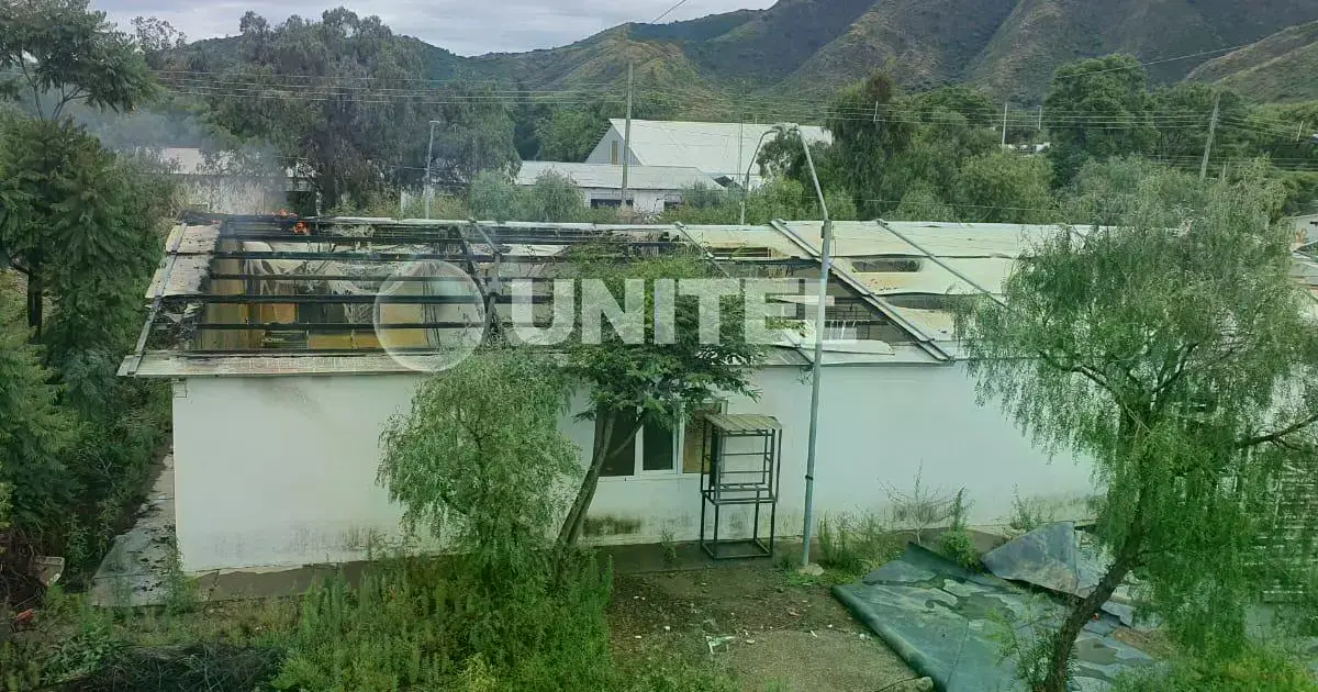 Imagen sin título