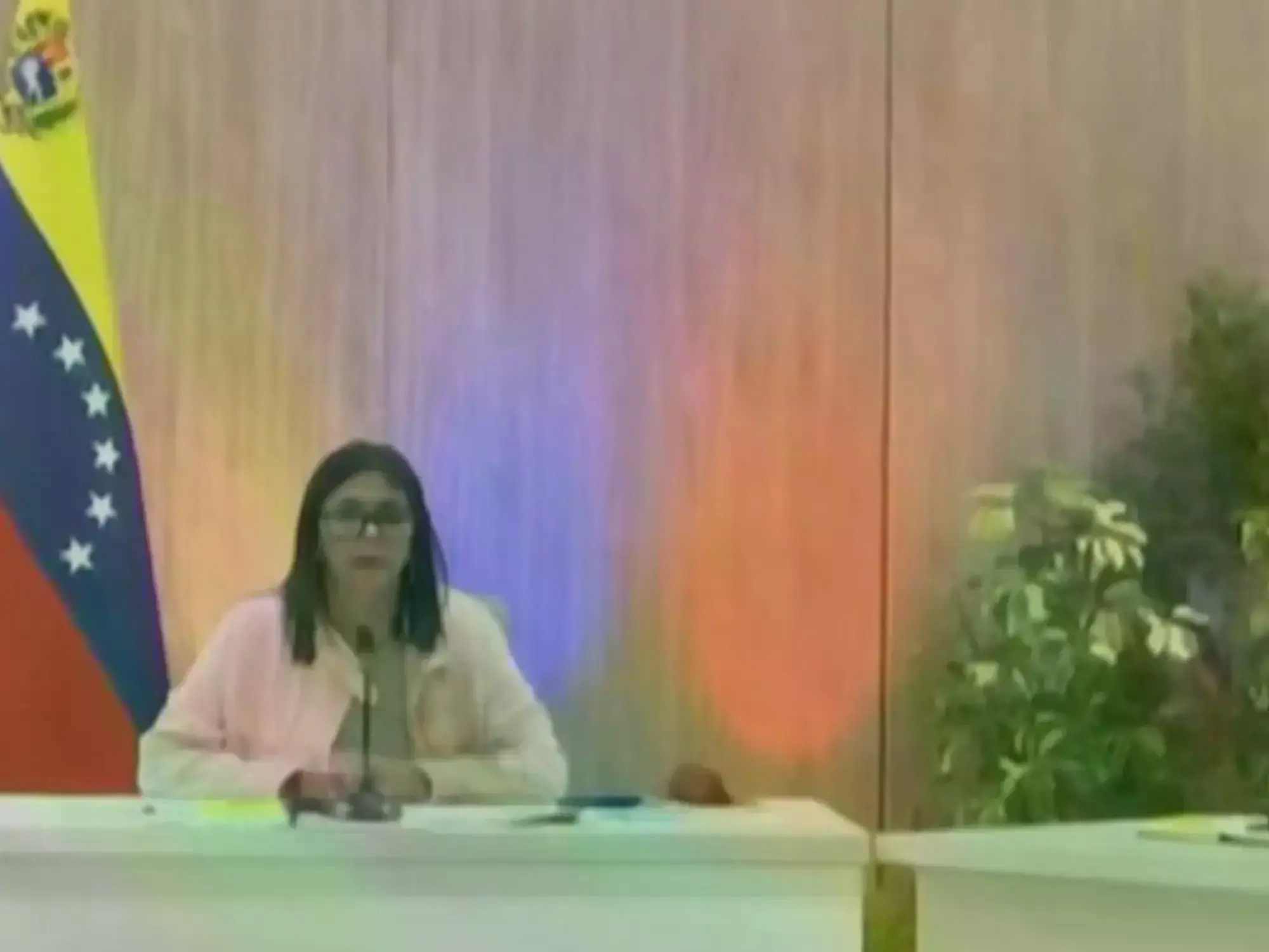 Delcy Rodríguez durante una actividad de gobierno.