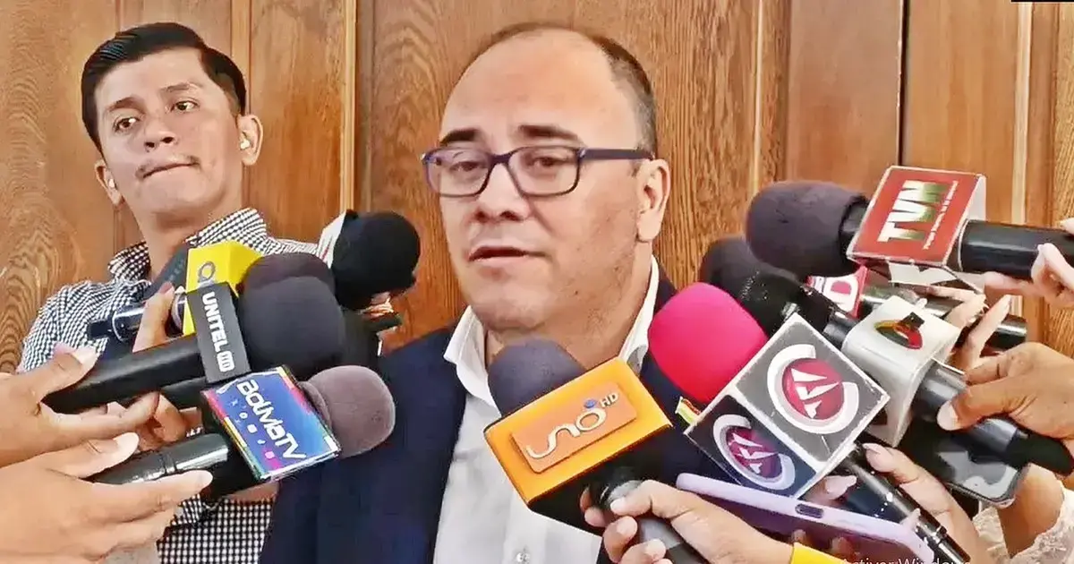 Gustavo Ávila, presidente del TSE, durante la sesión en Santa Cruz.