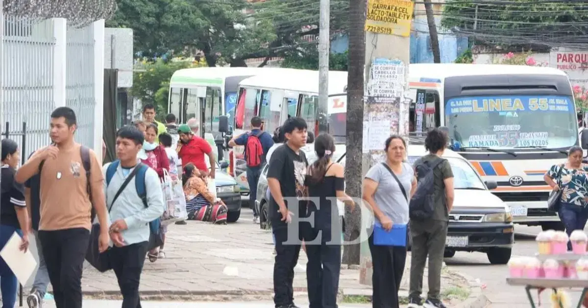 Micros, el transporte de la 'Ciudad de los Anillos'