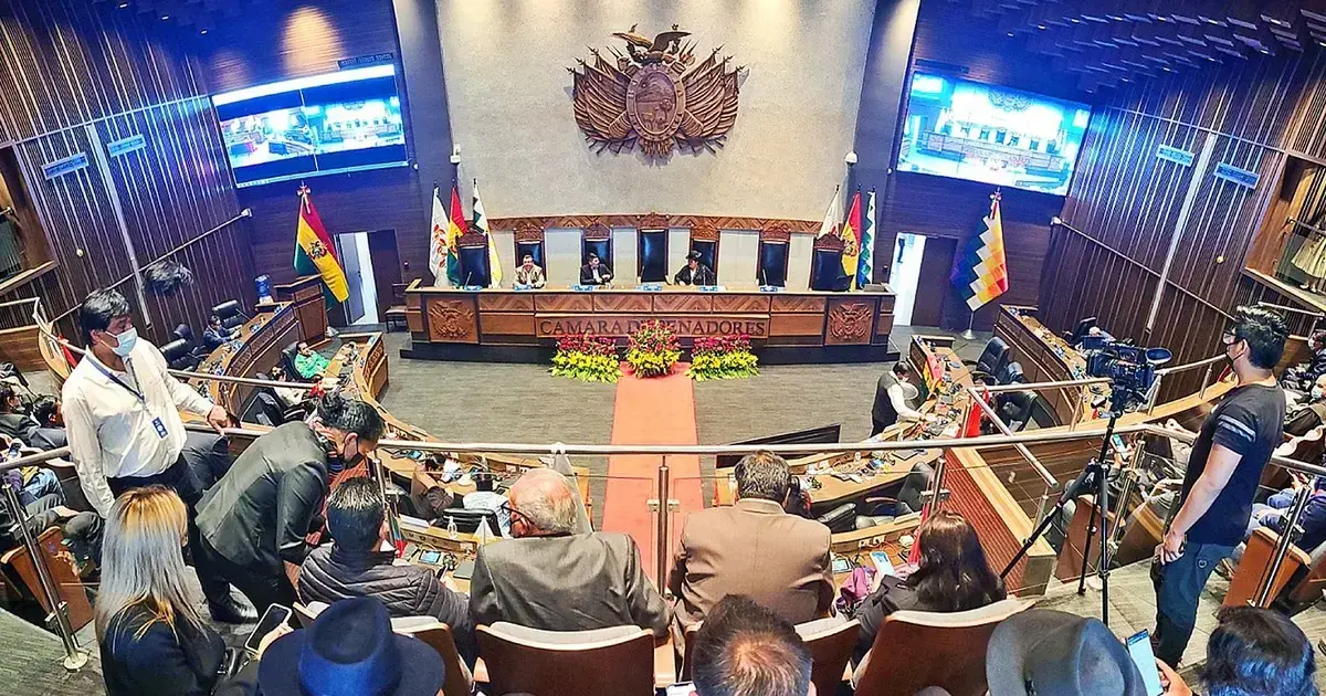 La Cámara de Senadores será clave para la toma de decisiones.