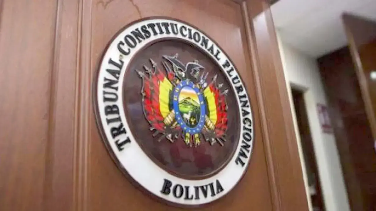 Referencia del Tribunal Constitucional Plurinacional.
