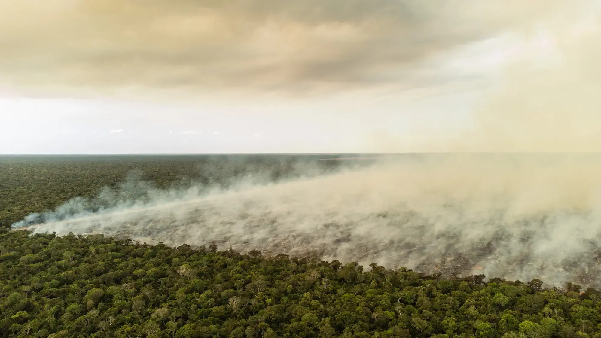 Deforestación en Bolivia.