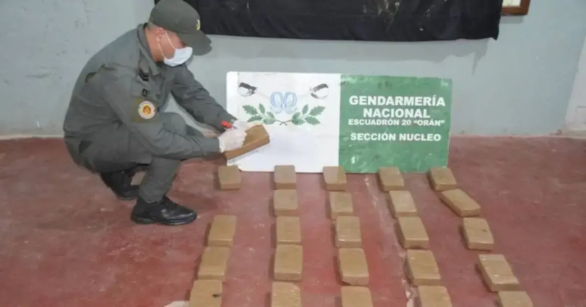 Imagen sin título