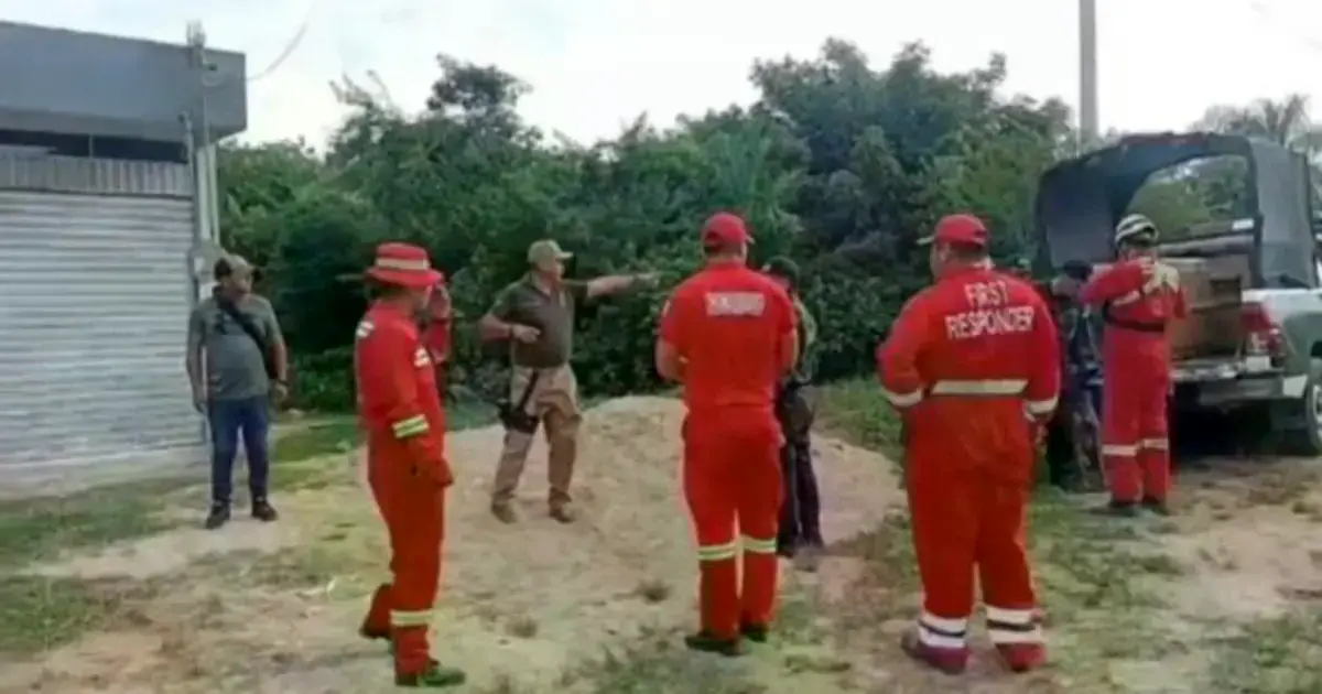 Imagen sin título