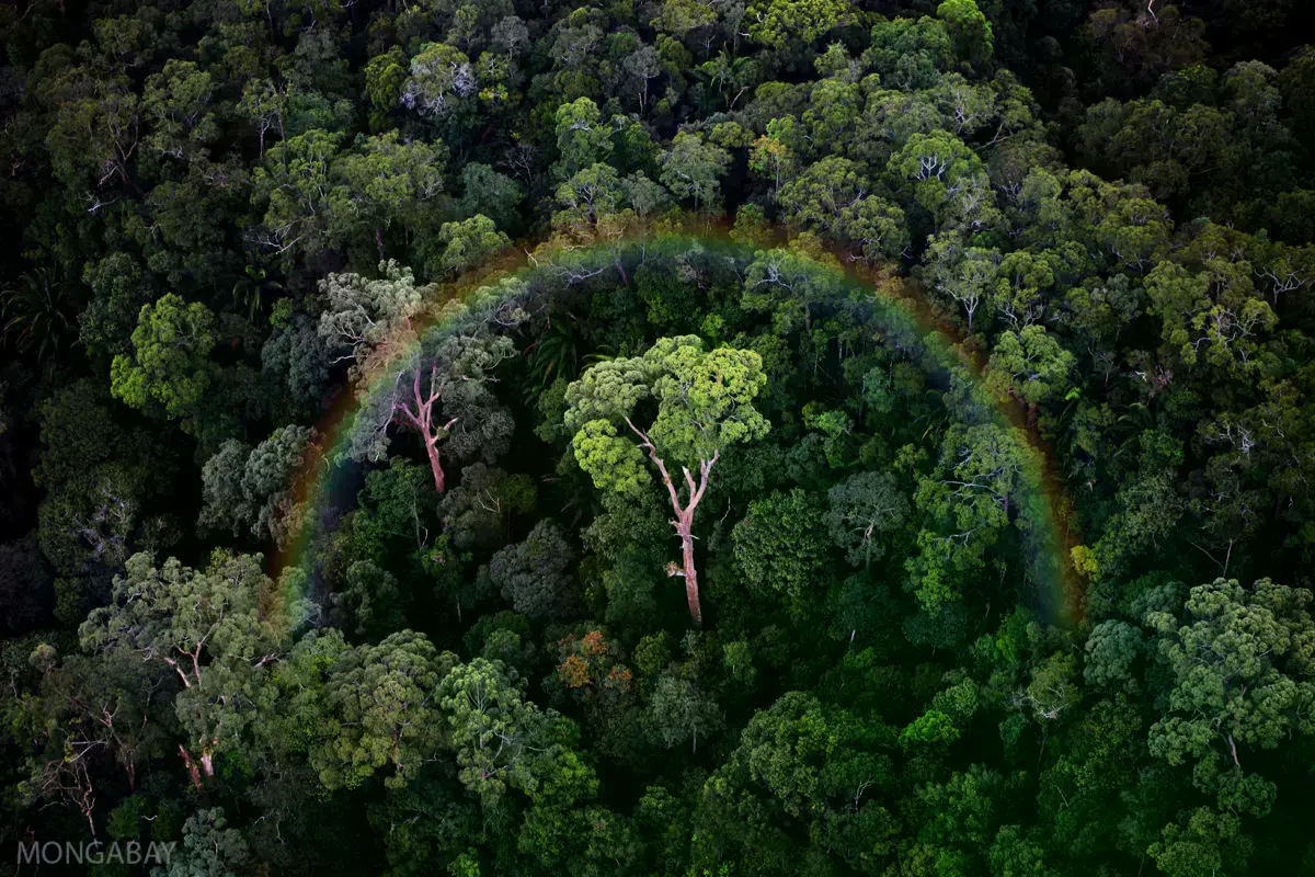 Jóvenes Yanomami utilizando tecnología para monitorizar su territorio.