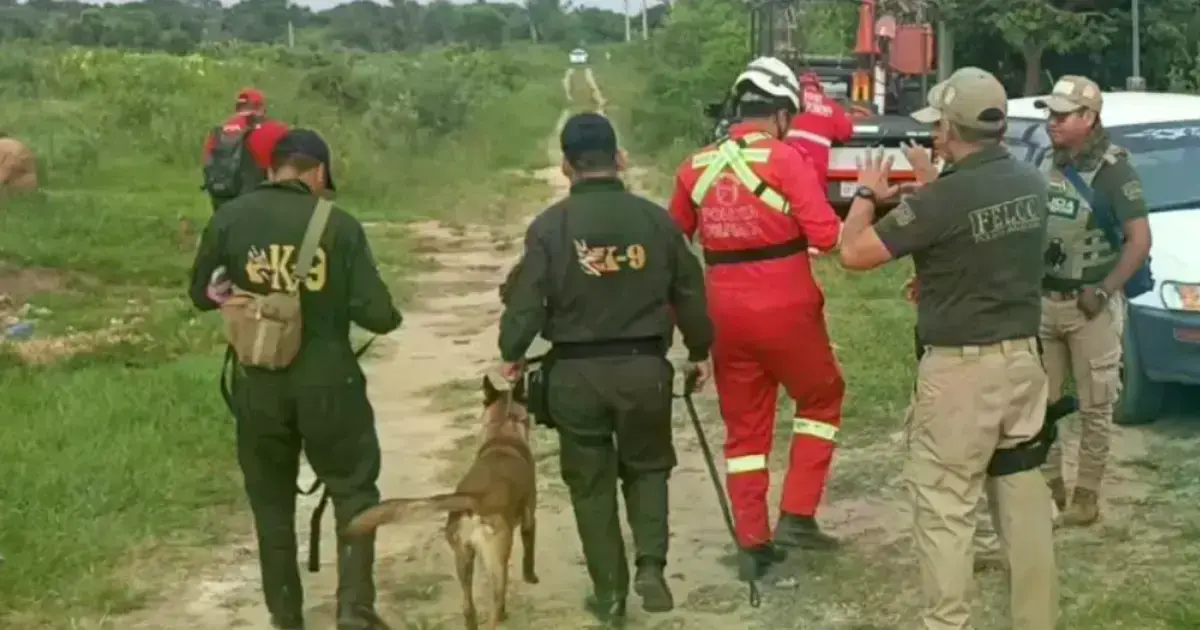 Imagen sin título