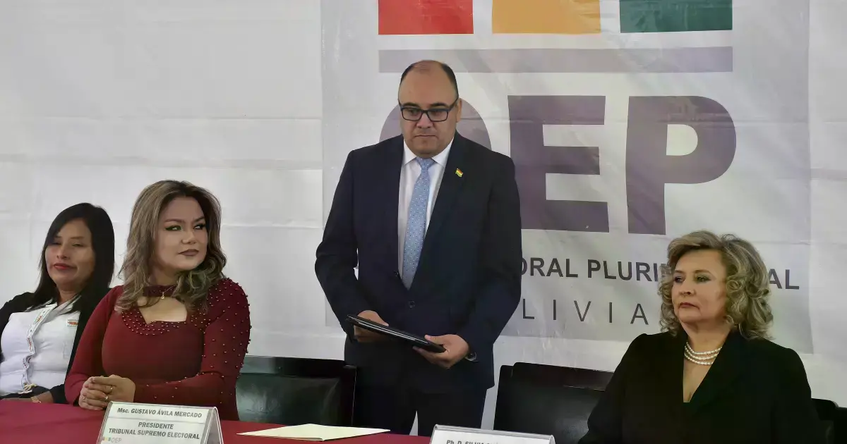 Vocales del Tribunal Supremo Electoral (TSE).