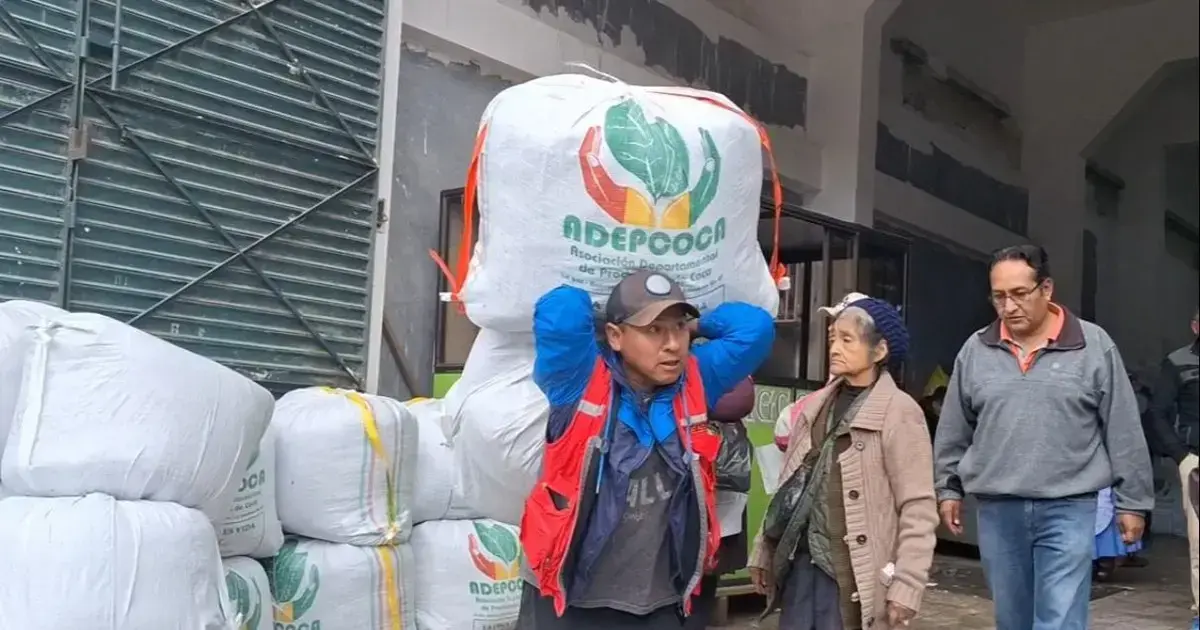 La hoja de coca comercializada en el mercado de Villa Fatima en la ciudad de La Paz