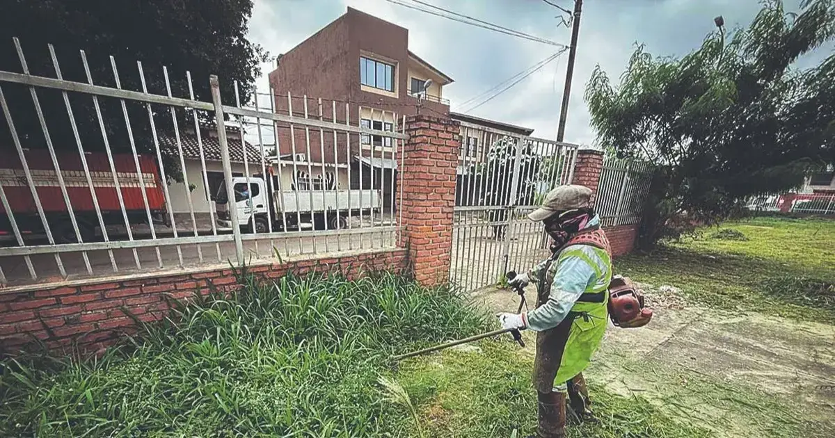 Un árbol crece sobre la barda de un módulo educativo.