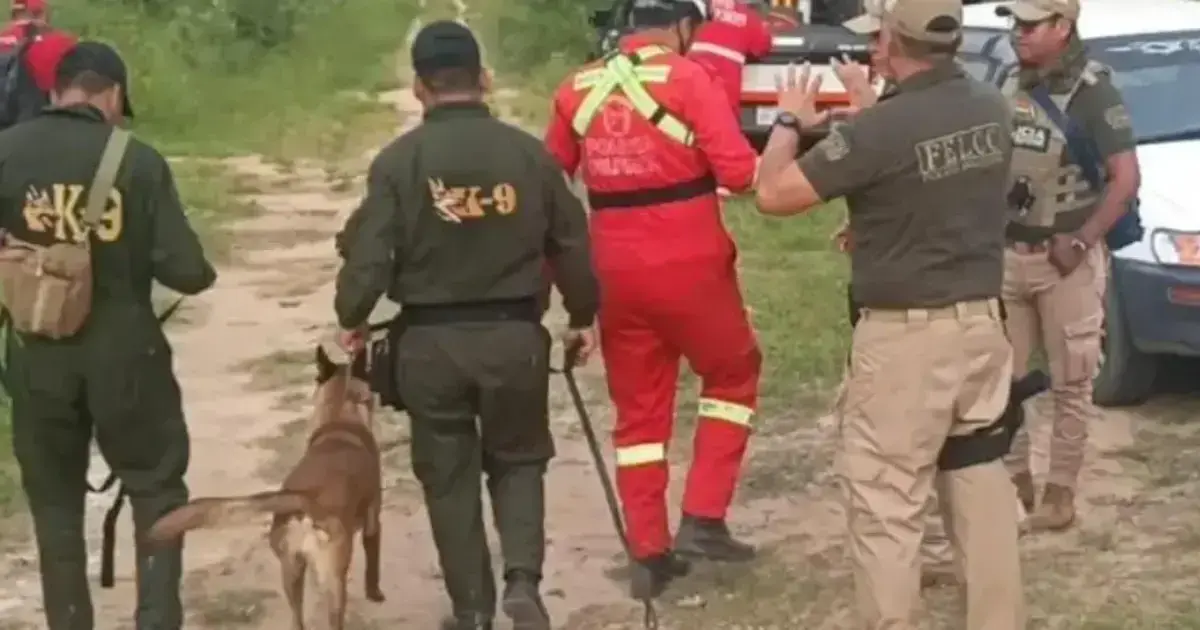Imagen sin título