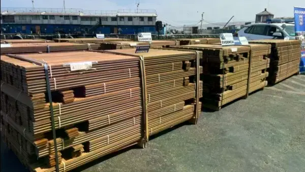 Cargamento de cocaína camuflada en tablones de madera incautado en Chile.