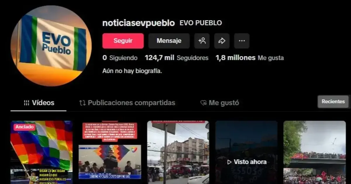 Uno de los perfiles usados para amplificar las publicaciones generadas por granjas de bots