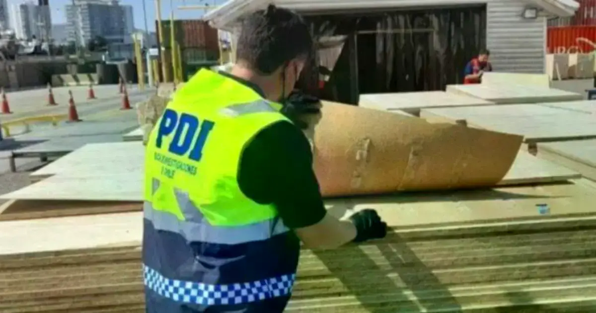 Un oficial de la PDI en Arica revisa un cargamento de madera procedente de Bolivia.