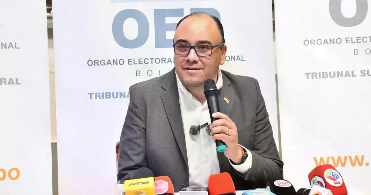 El presidente del TSE, Gustavo Ávila.