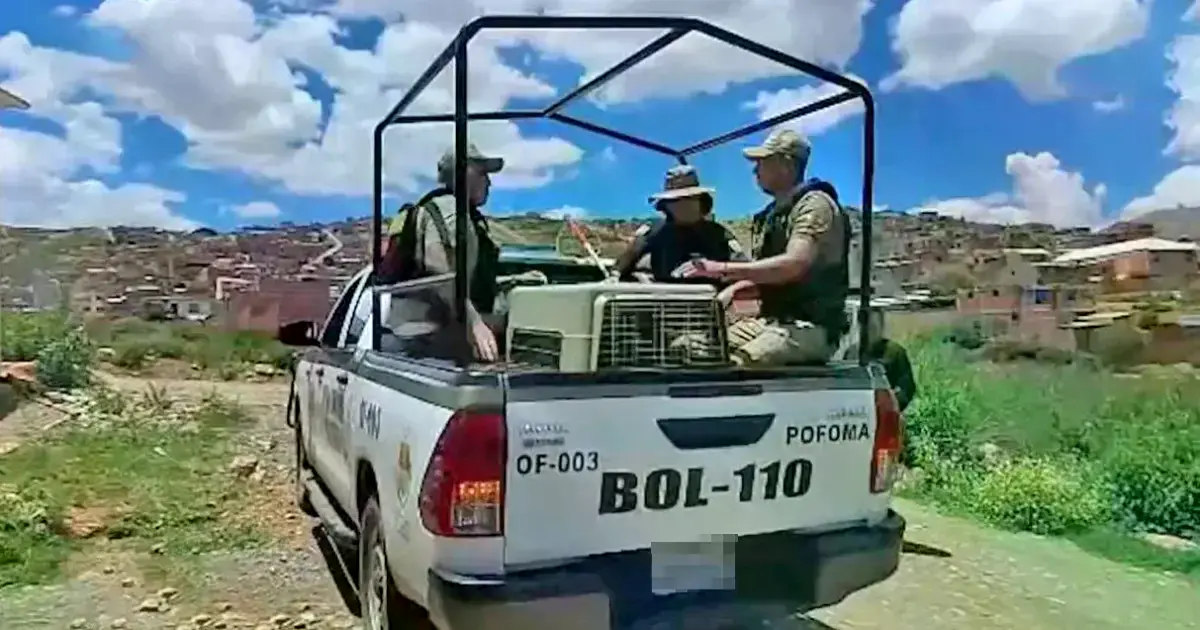 Imagen sin título