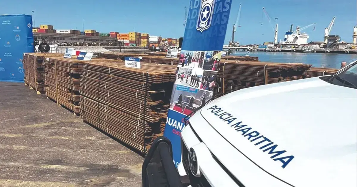 El cargamento de madera confiscada contenía al menos 700 kilos de cocaína de alta pureza.