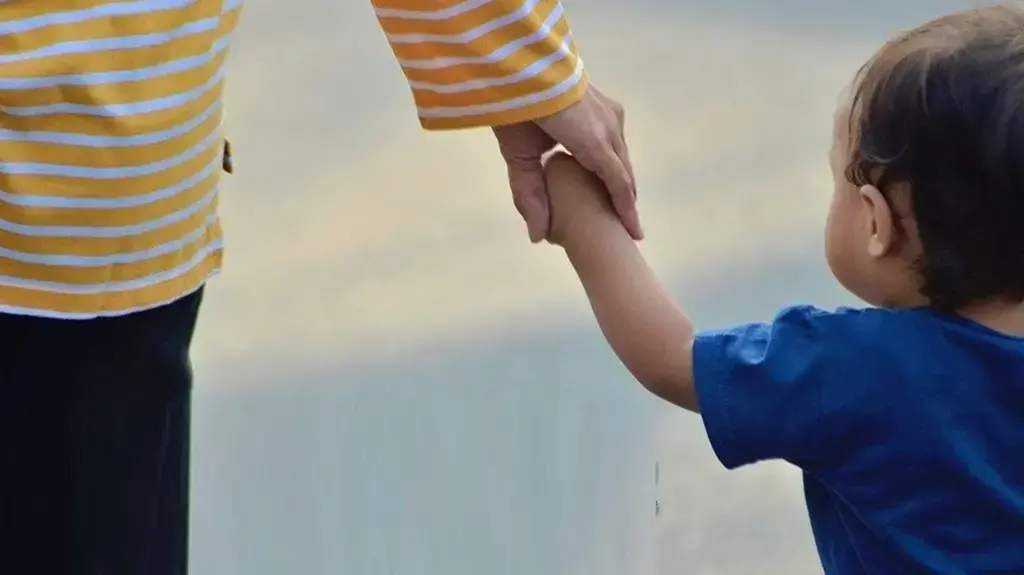 La herramienta está a disposición tanto de las familias como de los jueces, según el reporte.