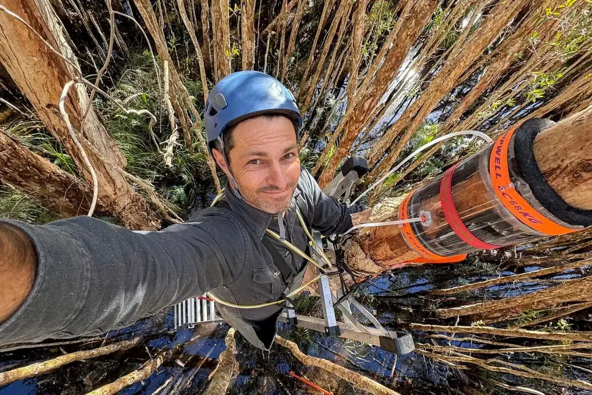 Un investigador sostiene un trozo de corteza de un árbol en un humedal de Australia.
