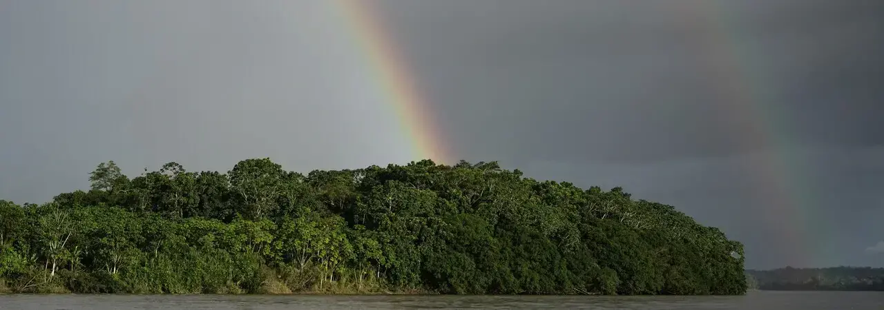 Cultivos de coca a las afueras de Puerto Asís, Colombia.