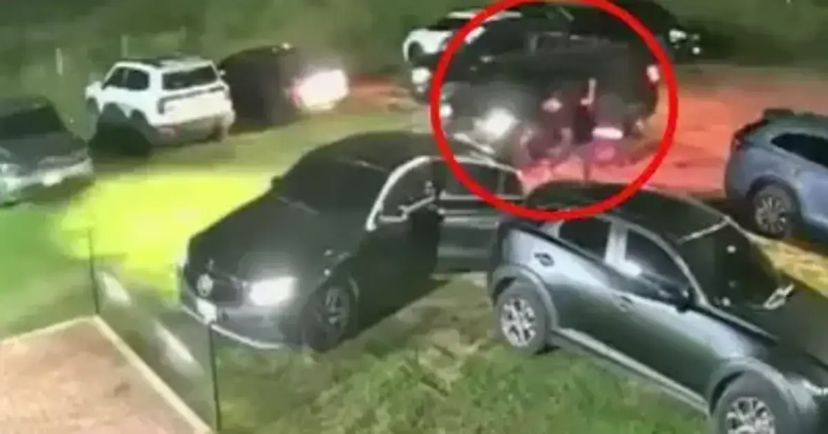 Imagen sin título