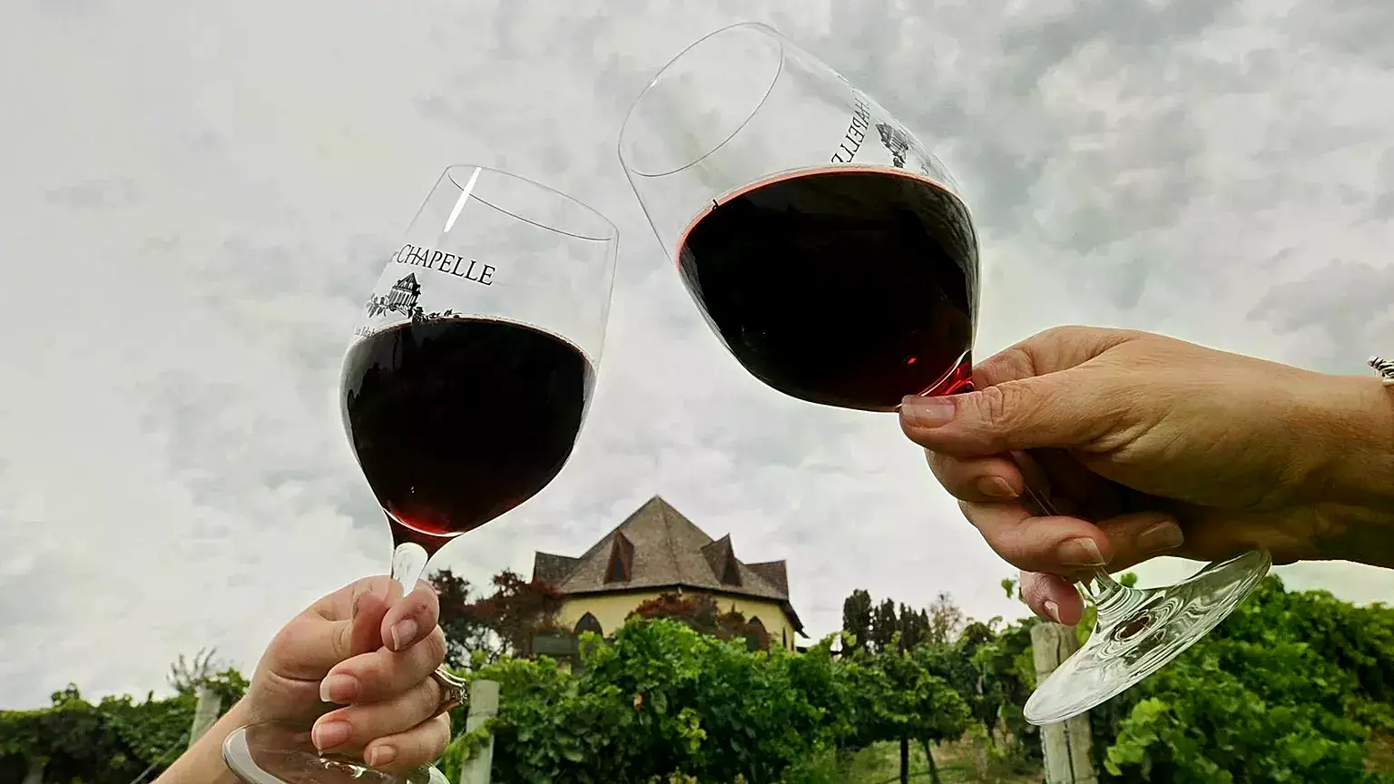Personas sostienen copas de vino en una bodega de Idaho (archivo, 2016).