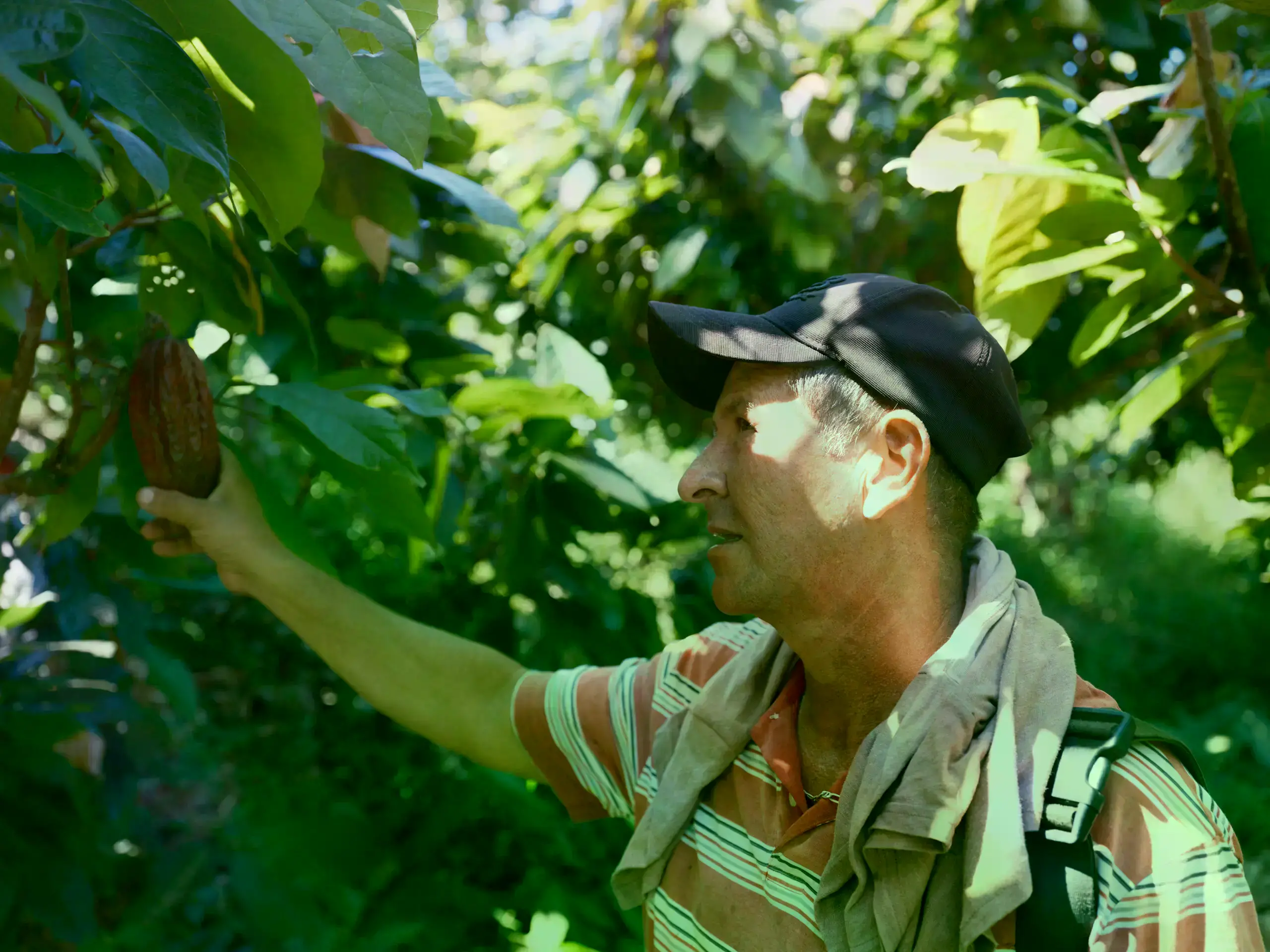 Euperfadis Cardenas Vargas en su finca de cacao en Risaralda, Colombia.