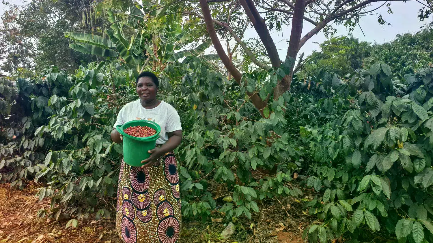 Martha Mhango, agricultora de café durante 22 años, en su plantación.