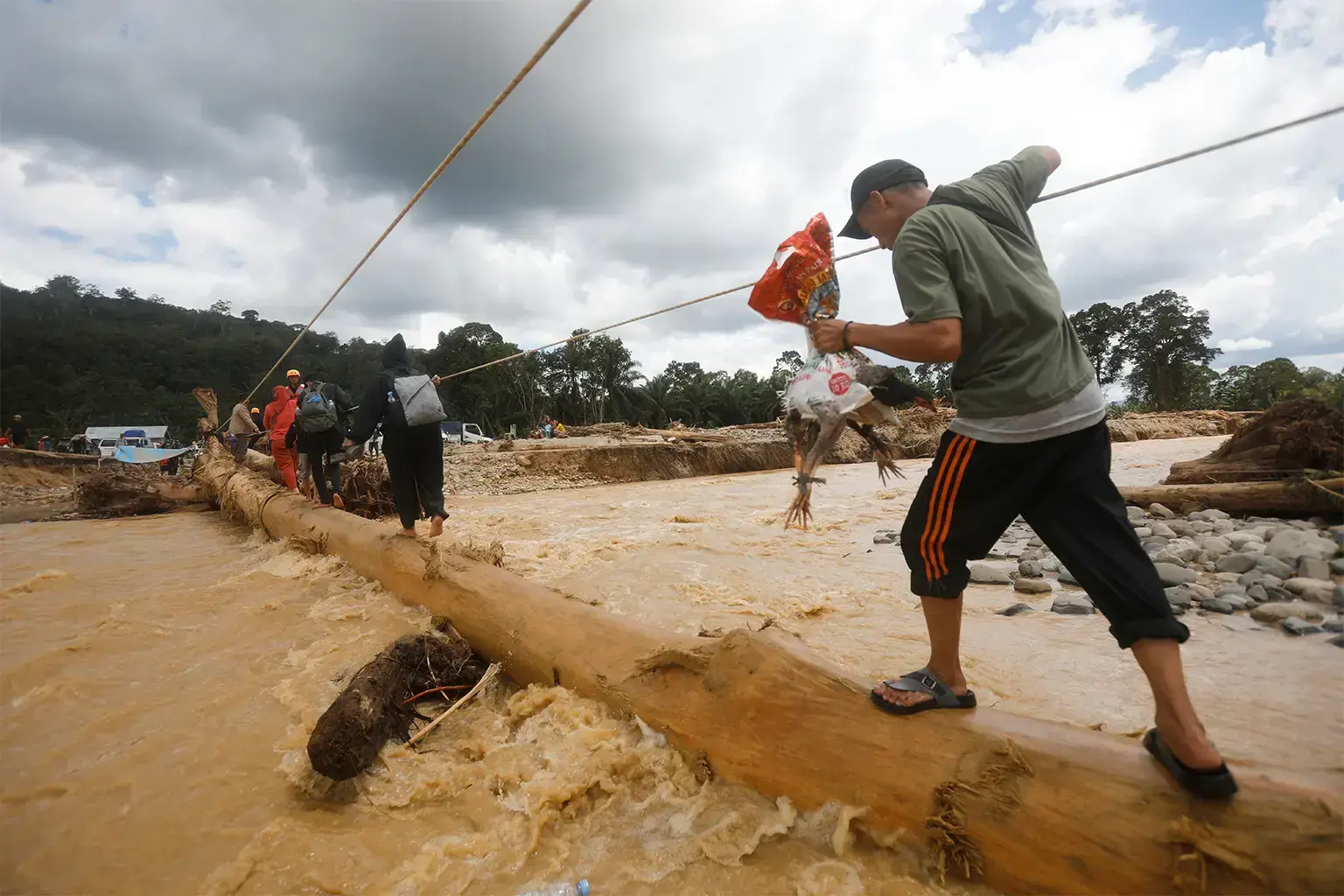 Hombre camina sobre troncos arrastrados por una inundación repentina en Batang Toru, Sumatra.