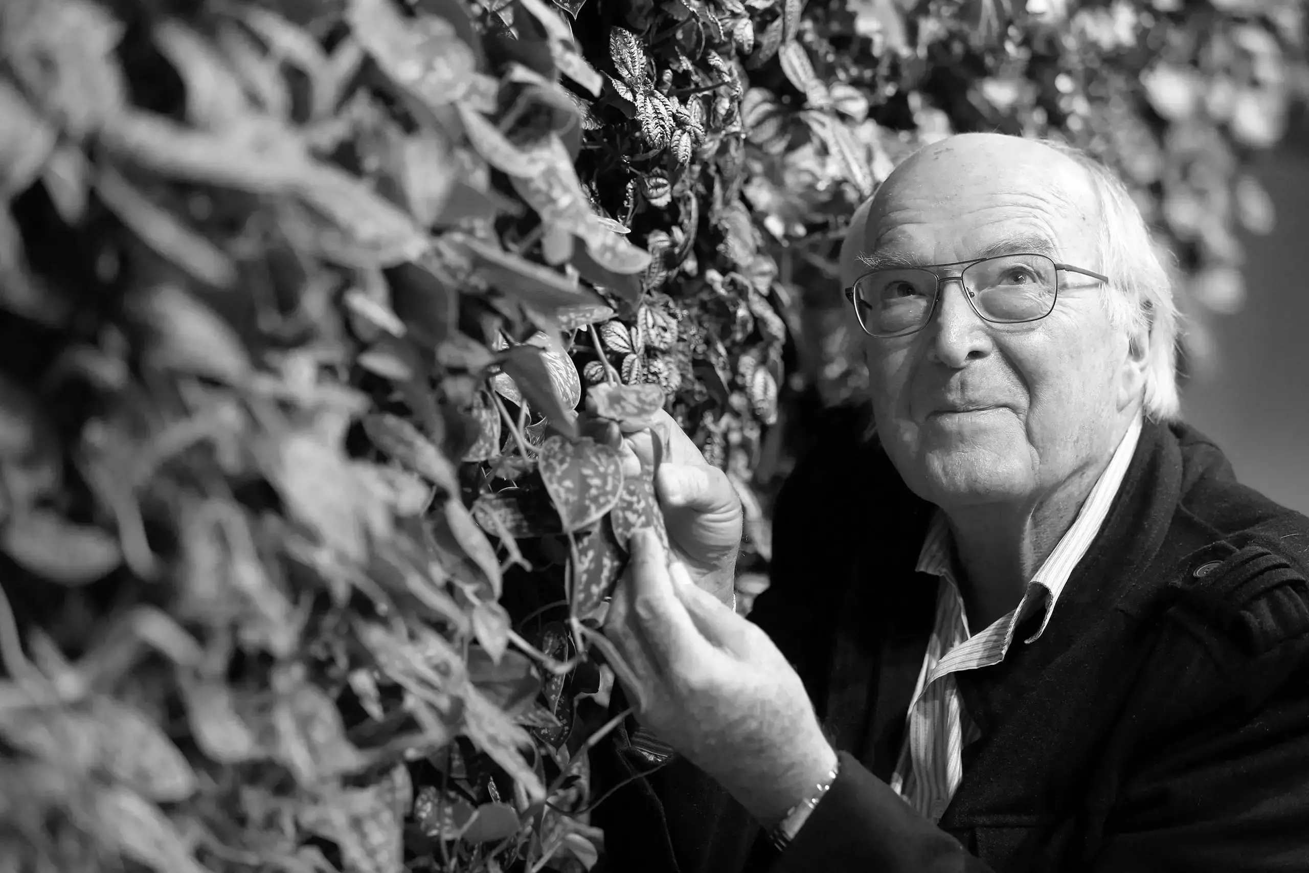 Francis Hallé, botánico y creador de la balsa dosel.